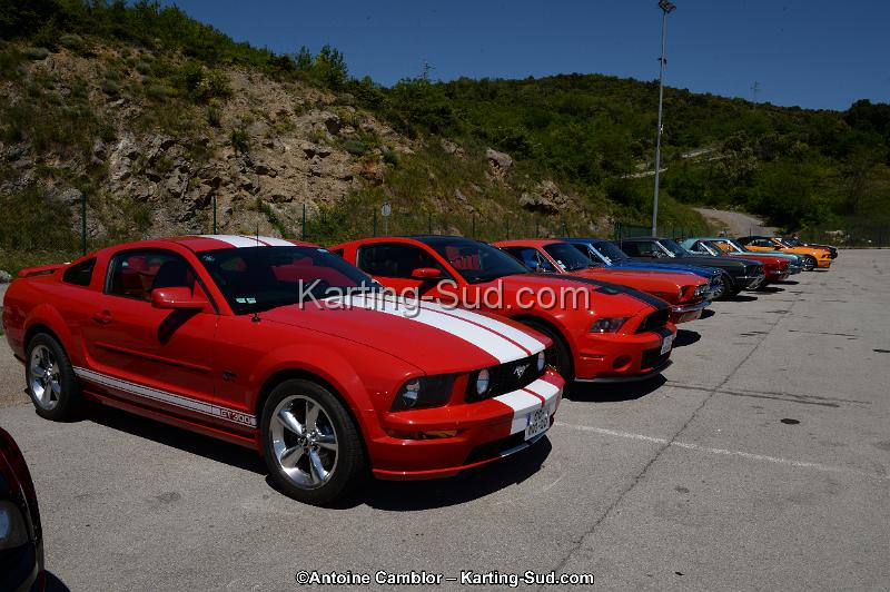DSC_8428.jpg