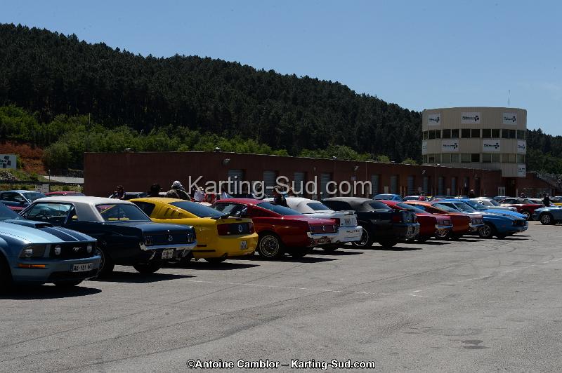 DSC_8431.jpg