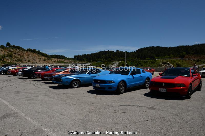 DSC_8433.jpg