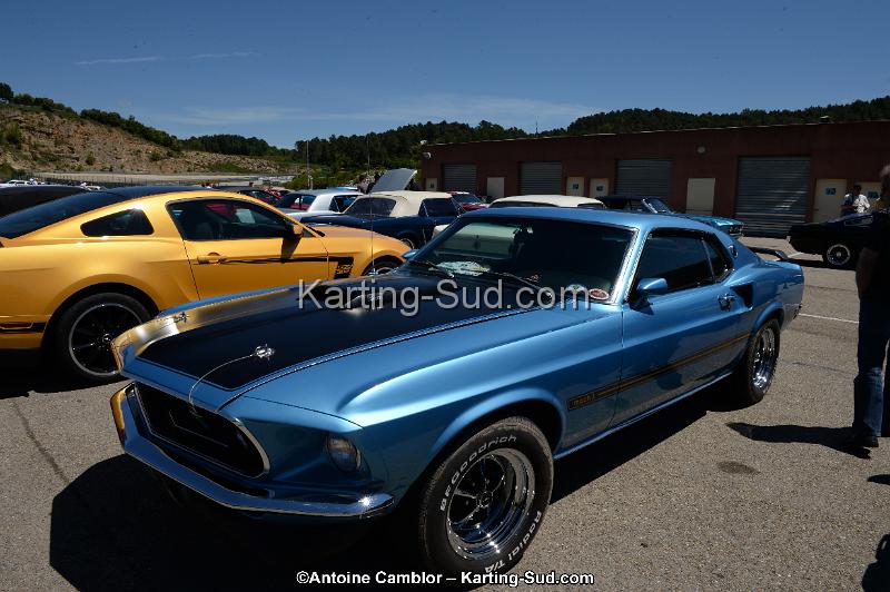 DSC_8436.jpg