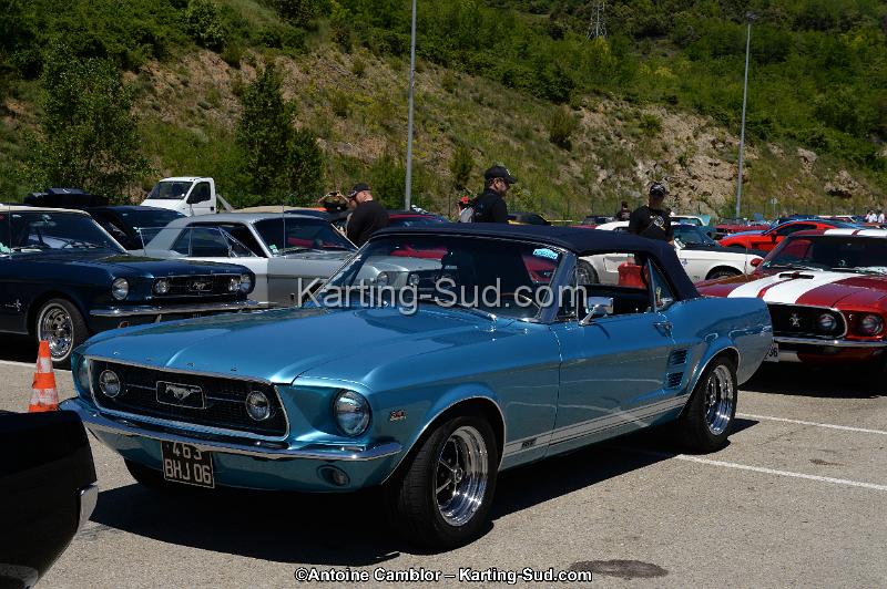 DSC_8437.jpg