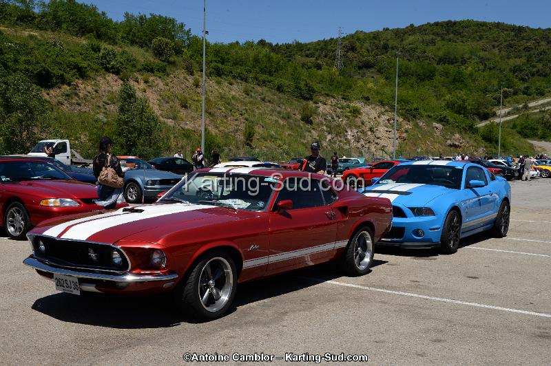 DSC_8438.jpg