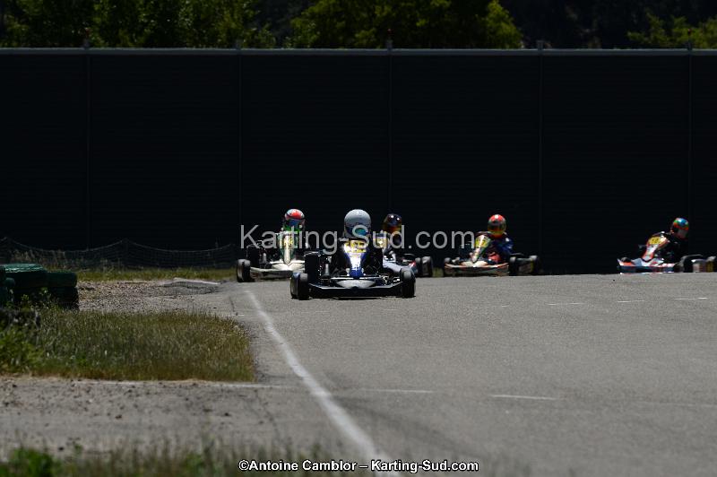 DSC_8462.jpg