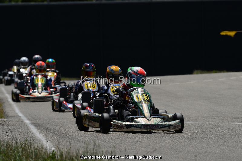 DSC_8464.jpg