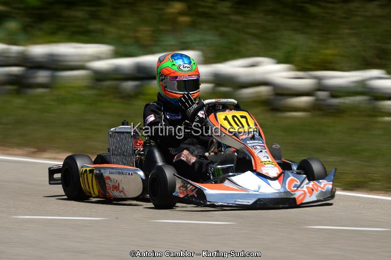 DSC_8531.jpg