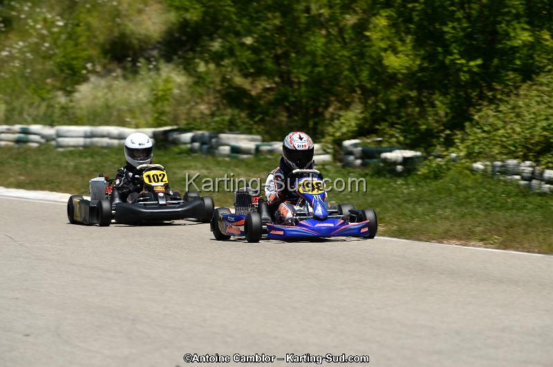 DSC_8532.jpg