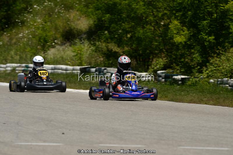 DSC_8545.jpg