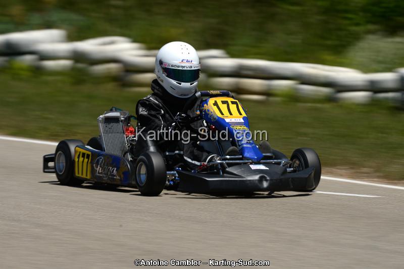 DSC_8553.jpg