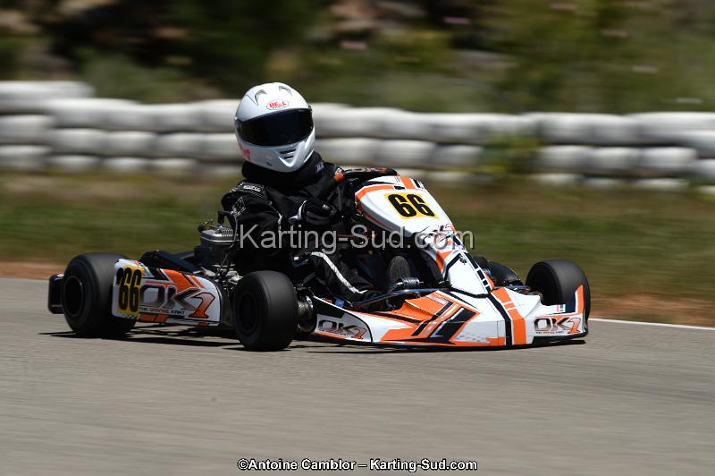 DSC_8568.jpg