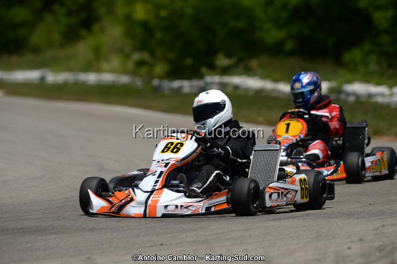 DSC_8600.jpg