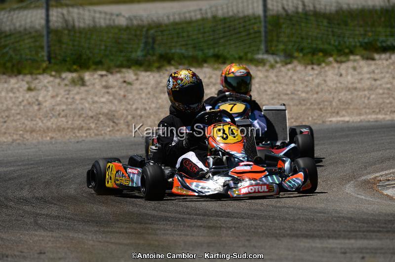 DSC_8628.jpg