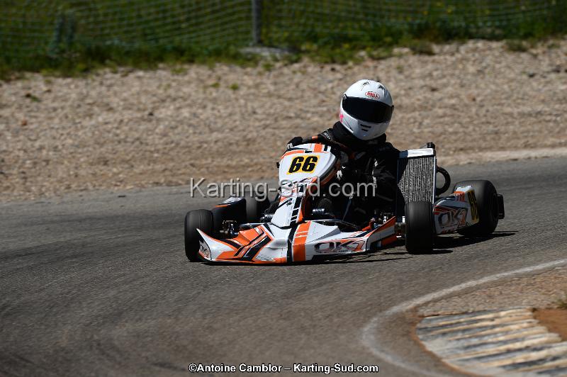 DSC_8652.jpg