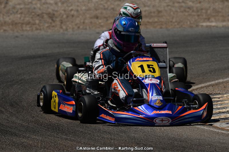 DSC_8655.jpg