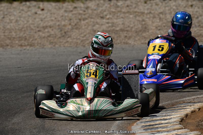 DSC_8668.jpg