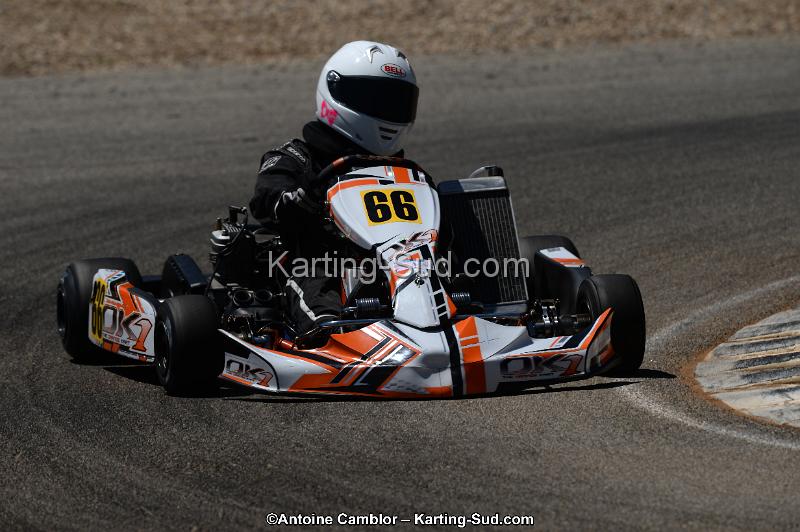 DSC_8680.jpg