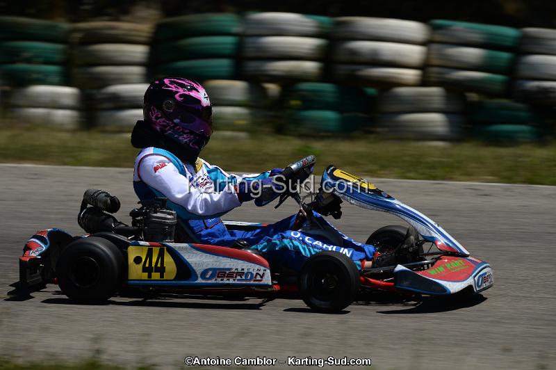 DSC_8684.jpg