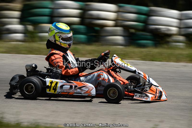 DSC_8691.jpg