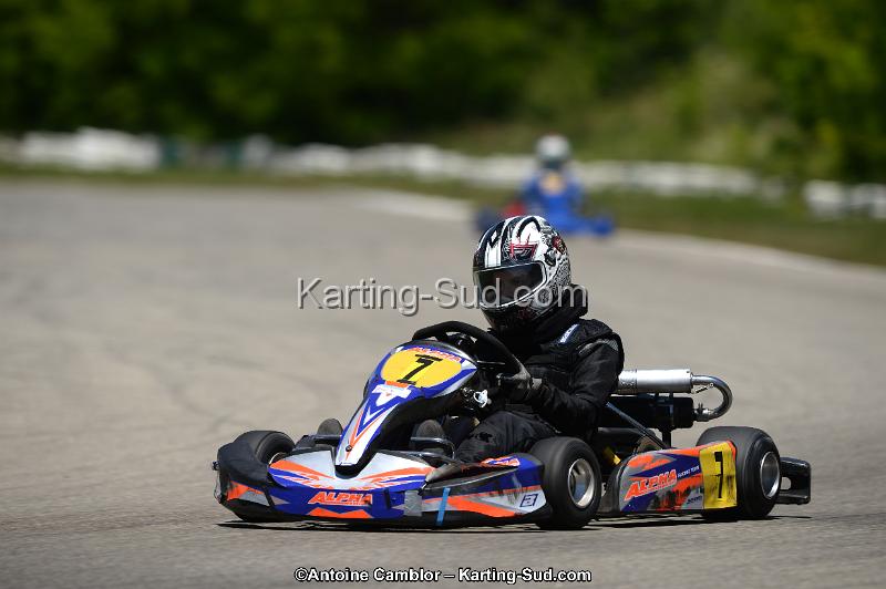 DSC_8719.jpg