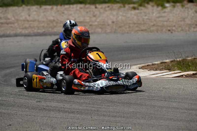 DSC_8737.jpg