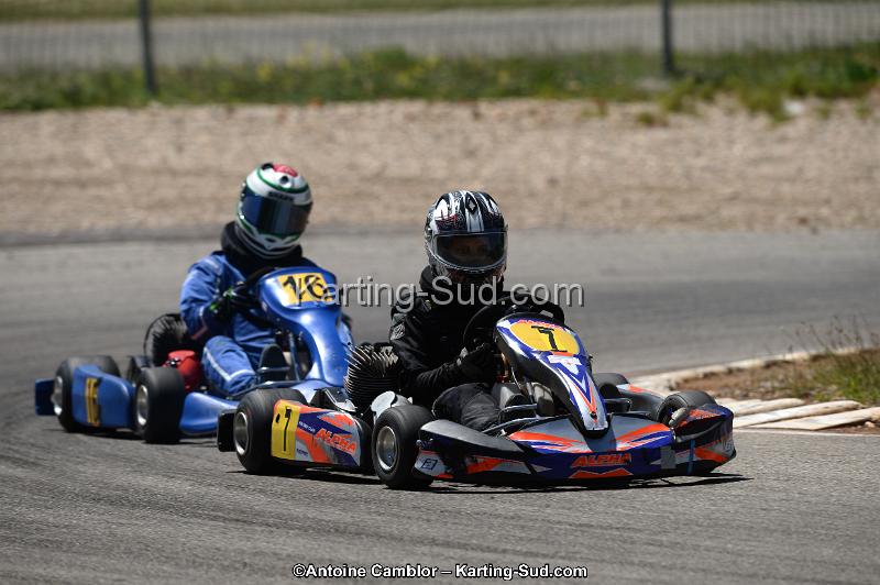 DSC_8748.jpg