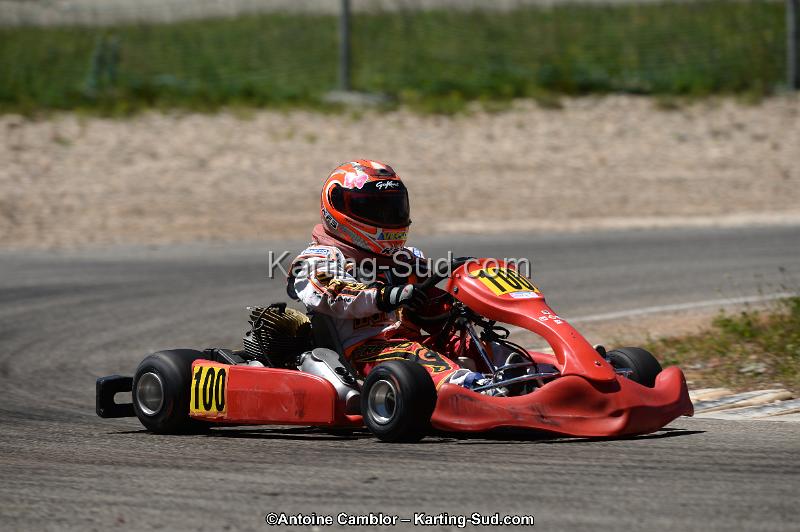 DSC_8763.jpg