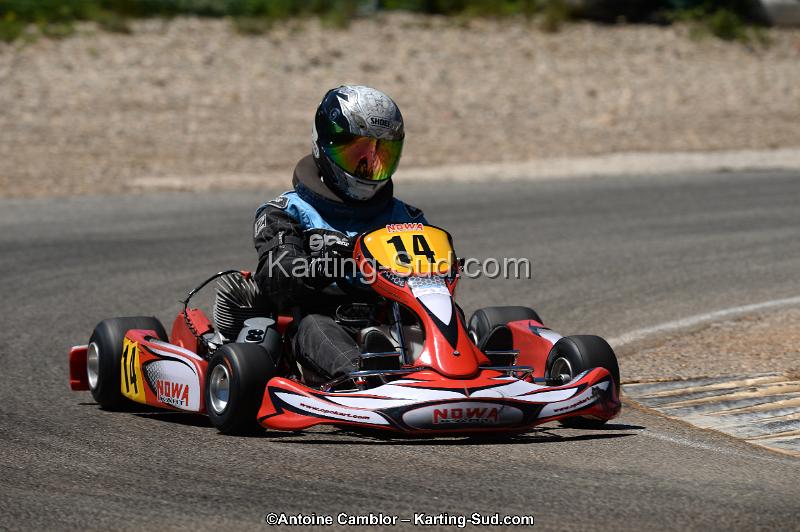 DSC_8775.jpg