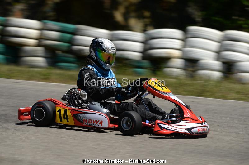 DSC_8790.jpg