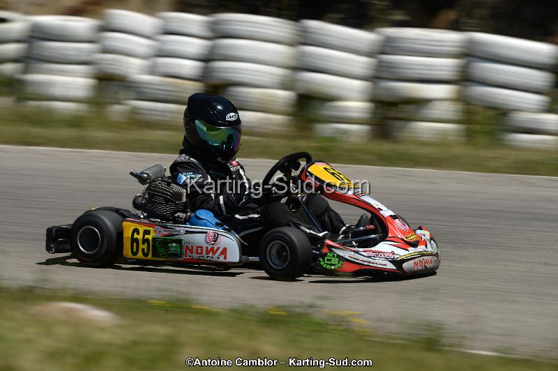 DSC_8800.jpg