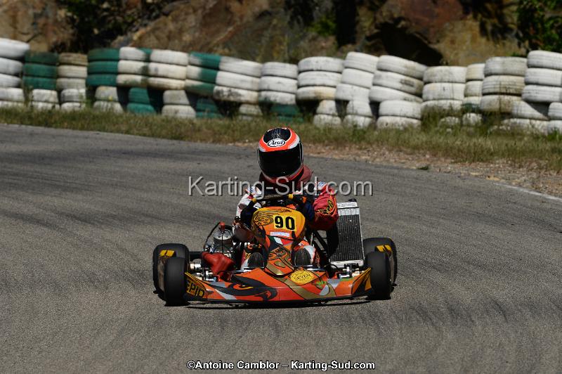 DSC_9229.jpg