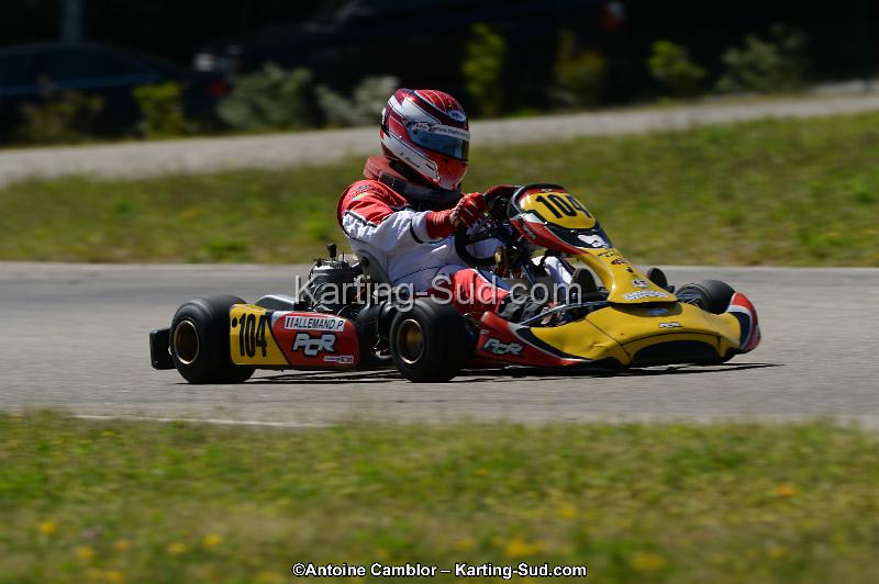 DSC_9251.jpg