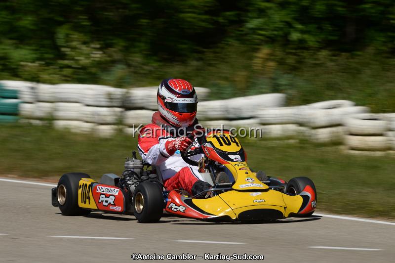 DSC_9295.jpg