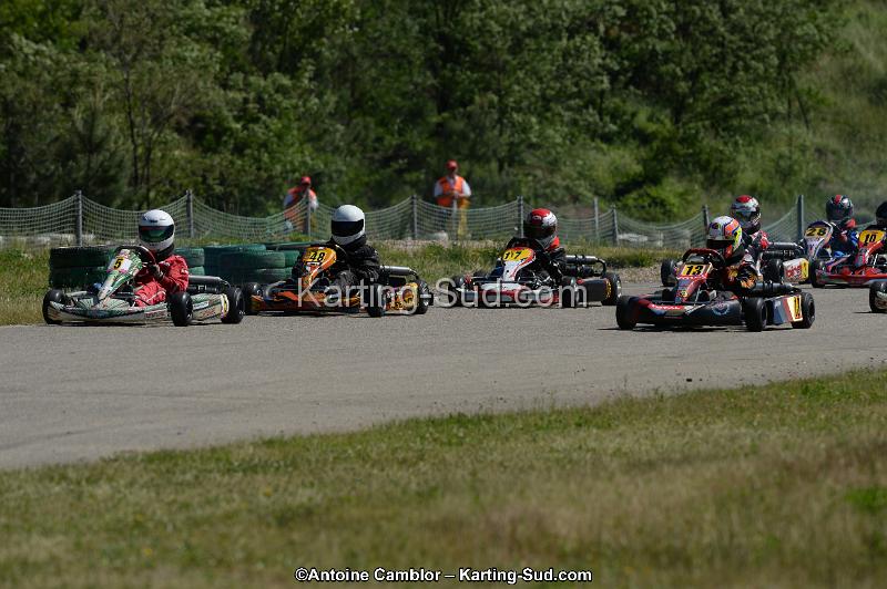 DSC_9329.jpg