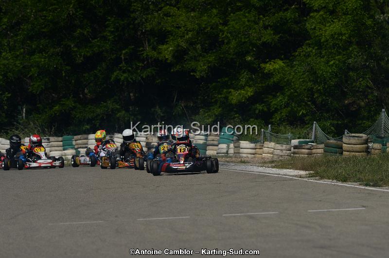 DSC_9331.jpg