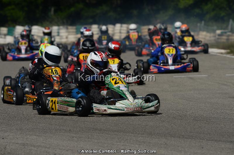 DSC_9333.jpg