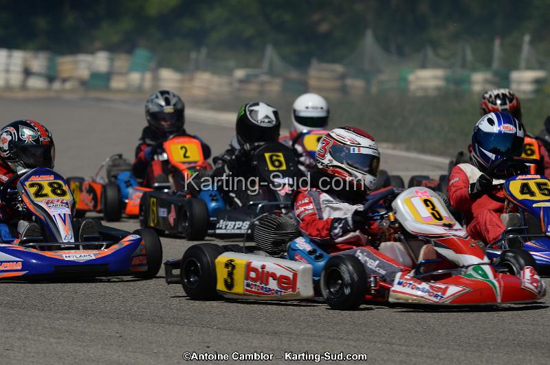 DSC_9335.jpg
