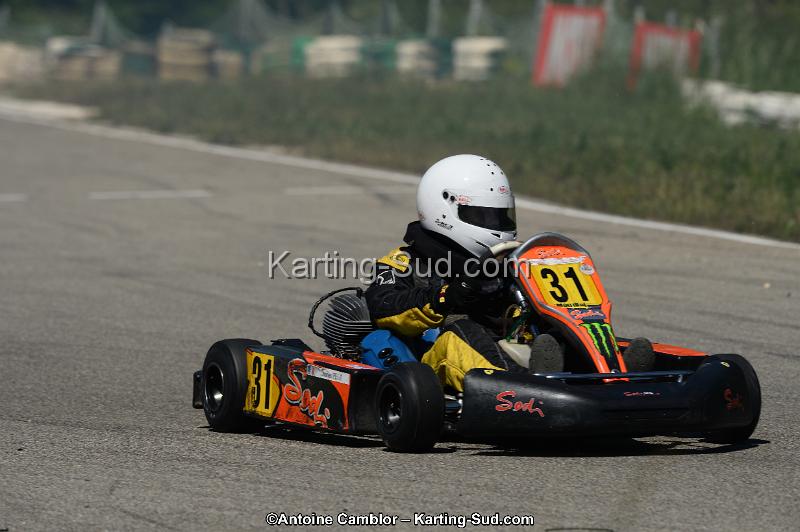 DSC_9336.jpg