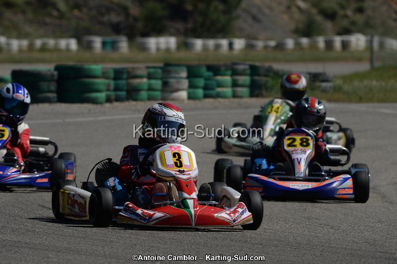 DSC_9339.jpg