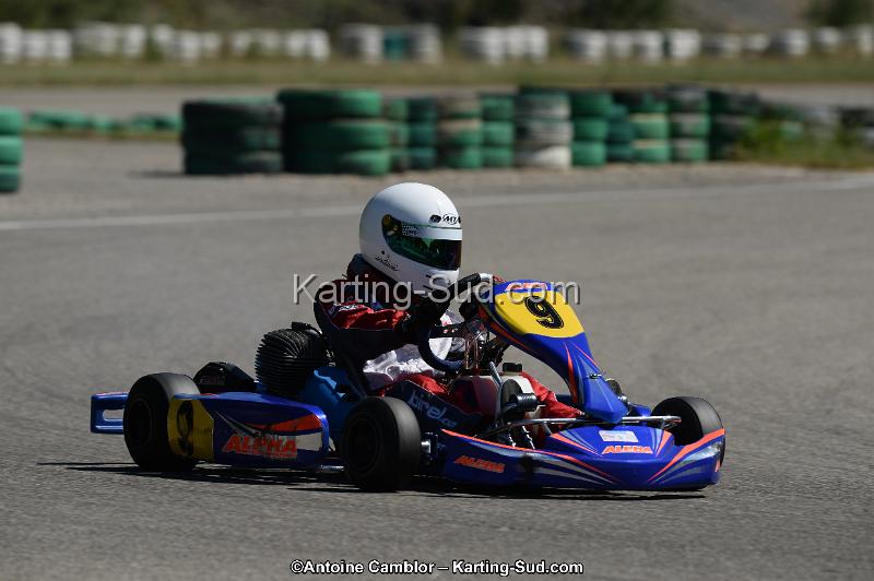 DSC_9341.jpg
