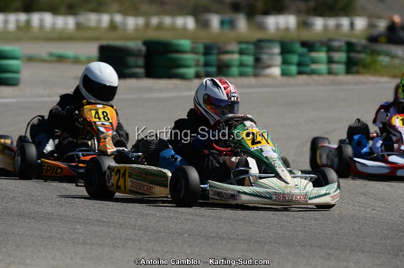 DSC_9351.jpg