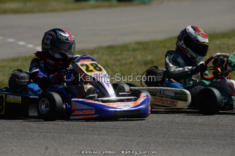 DSC_9354.jpg