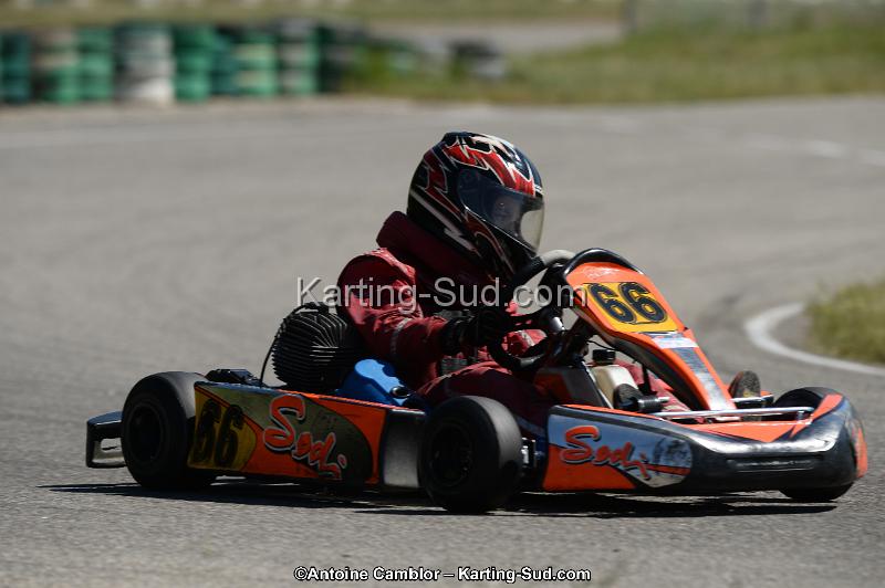 DSC_9355.jpg
