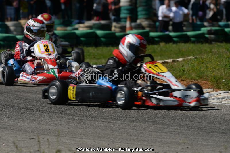 DSC_9381.jpg