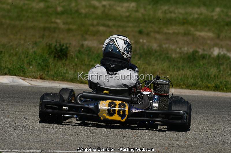 DSC_9503.jpg