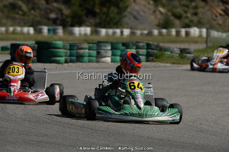 DSC_9504.jpg