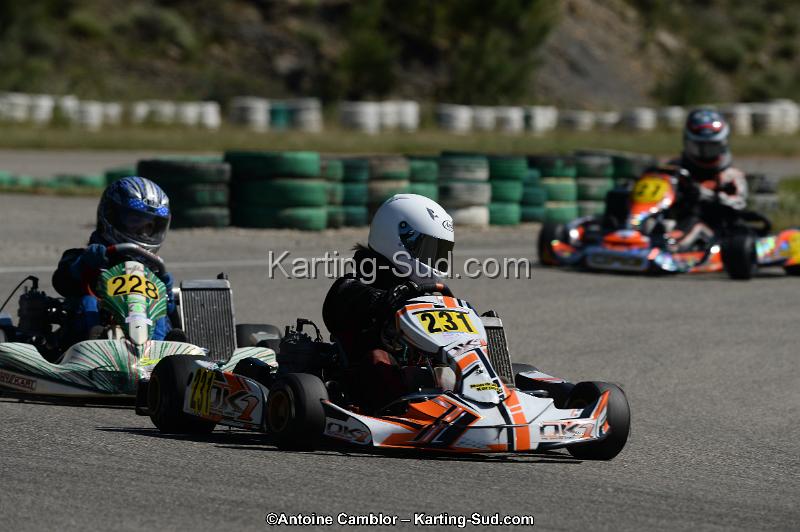 DSC_9505.jpg