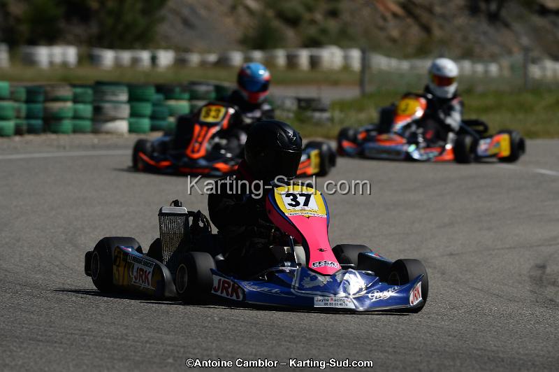 DSC_9507.jpg