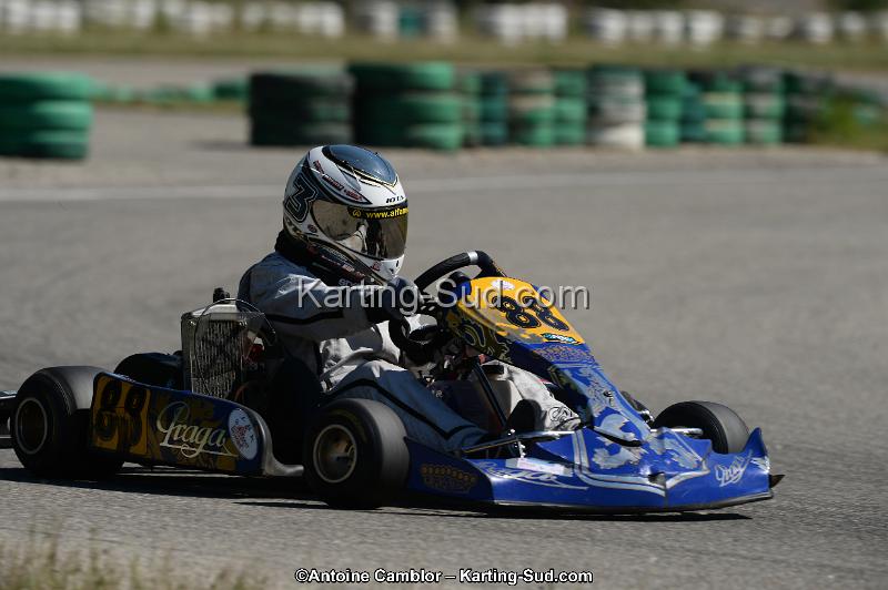 DSC_9511.jpg