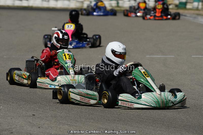 DSC_9515.jpg