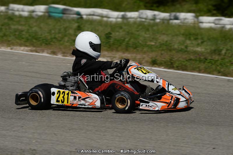 DSC_9526.jpg