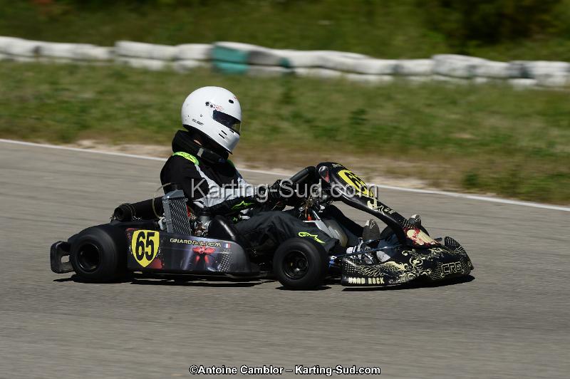 DSC_9529.jpg